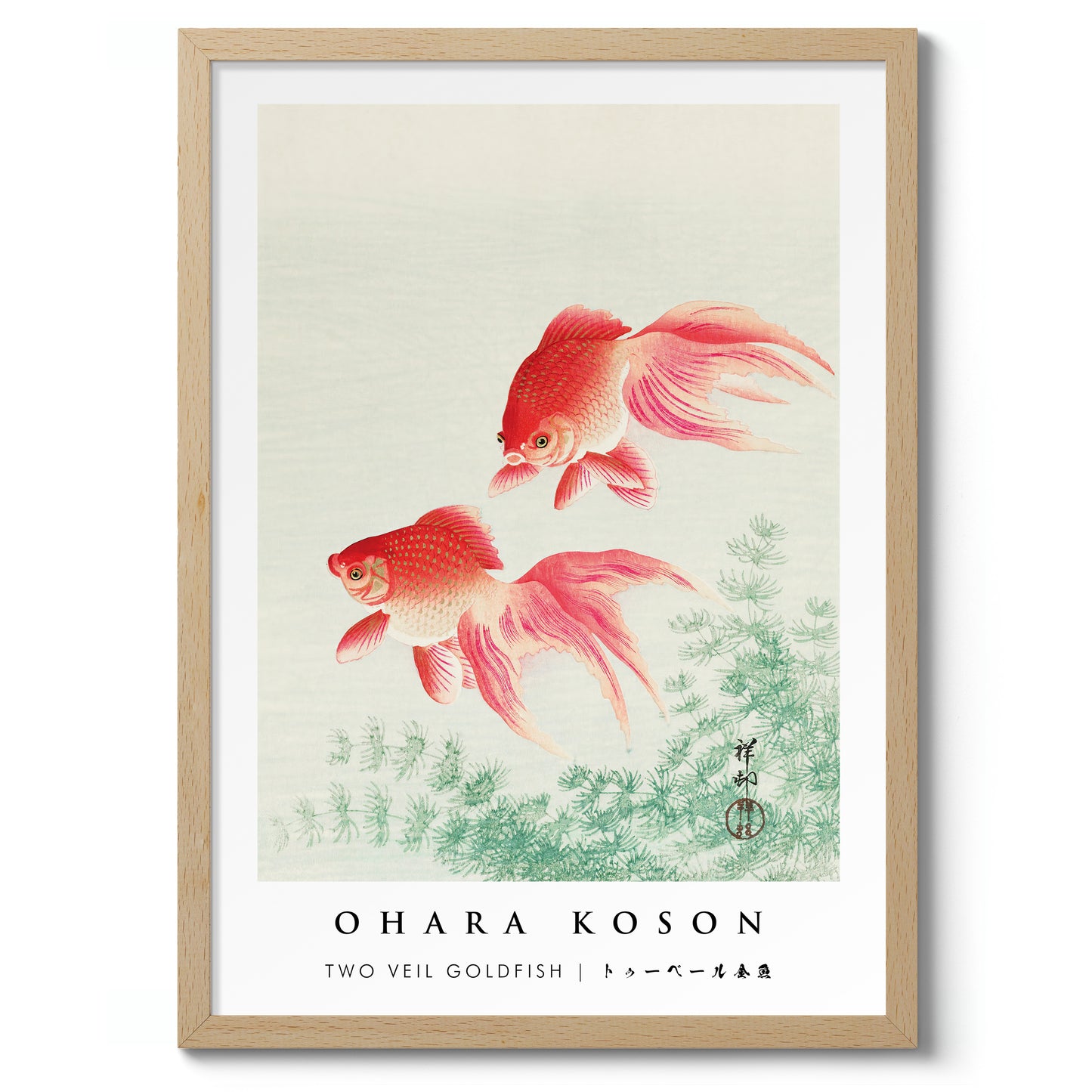 Deux poissons rouges voilés