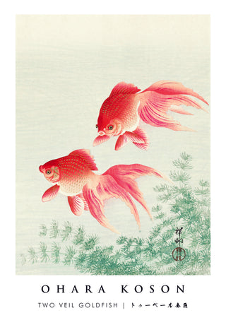 Deux poissons rouges voilés print