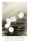 Chicks Eating Worms print