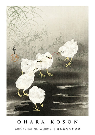 Chicks Eating Worms print