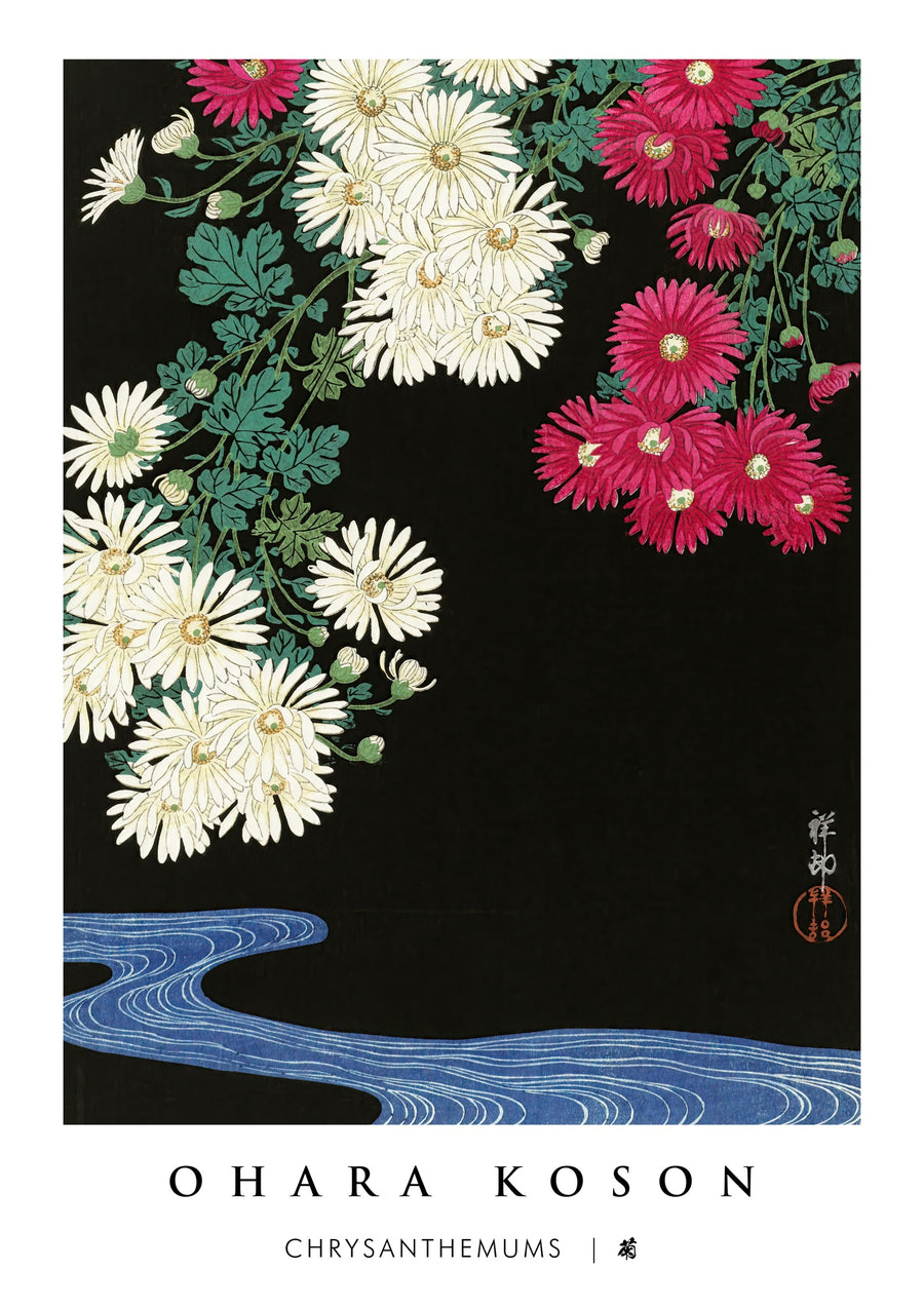 Chrysanthèmes - Print Only frame