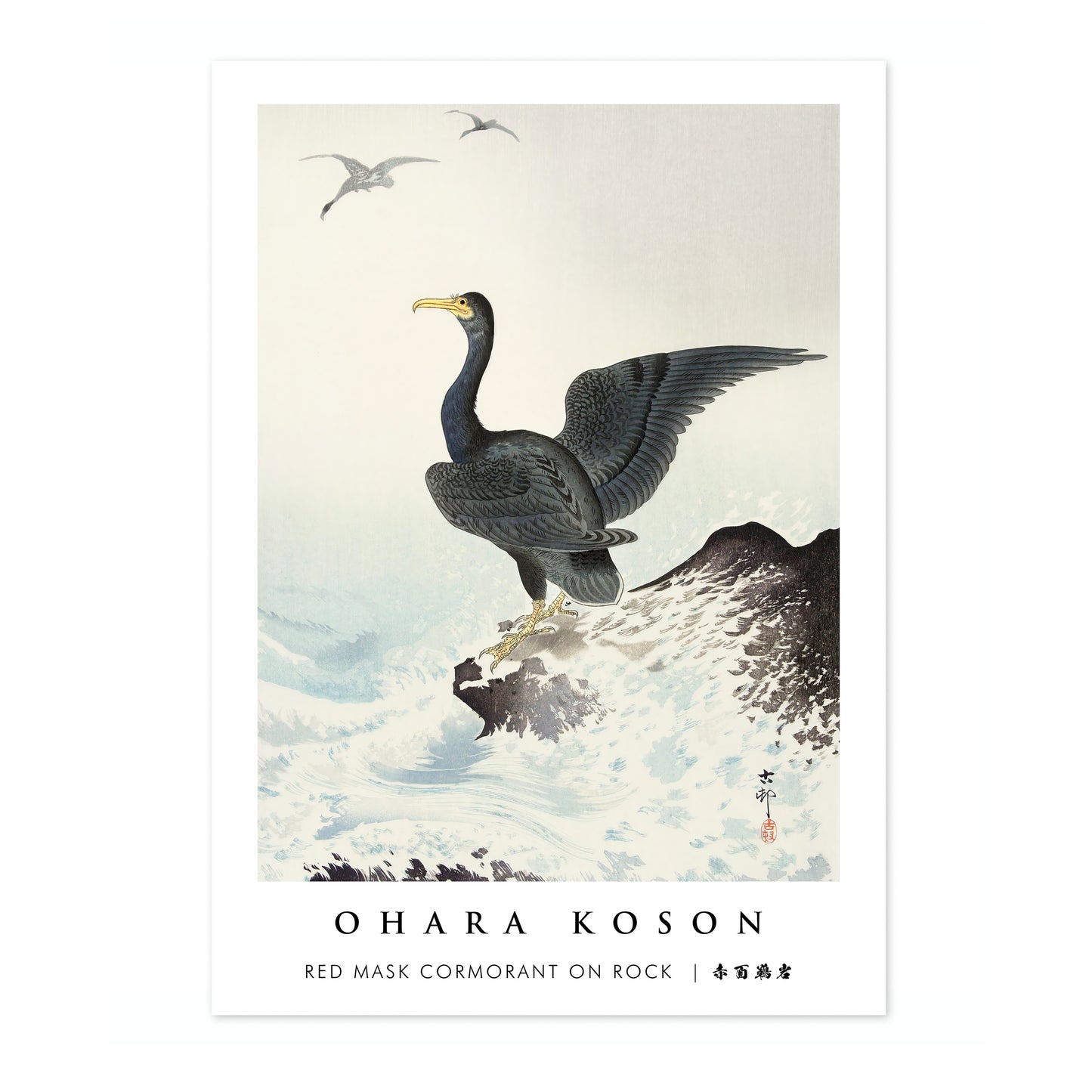 Red Mask Cormorant on Rock