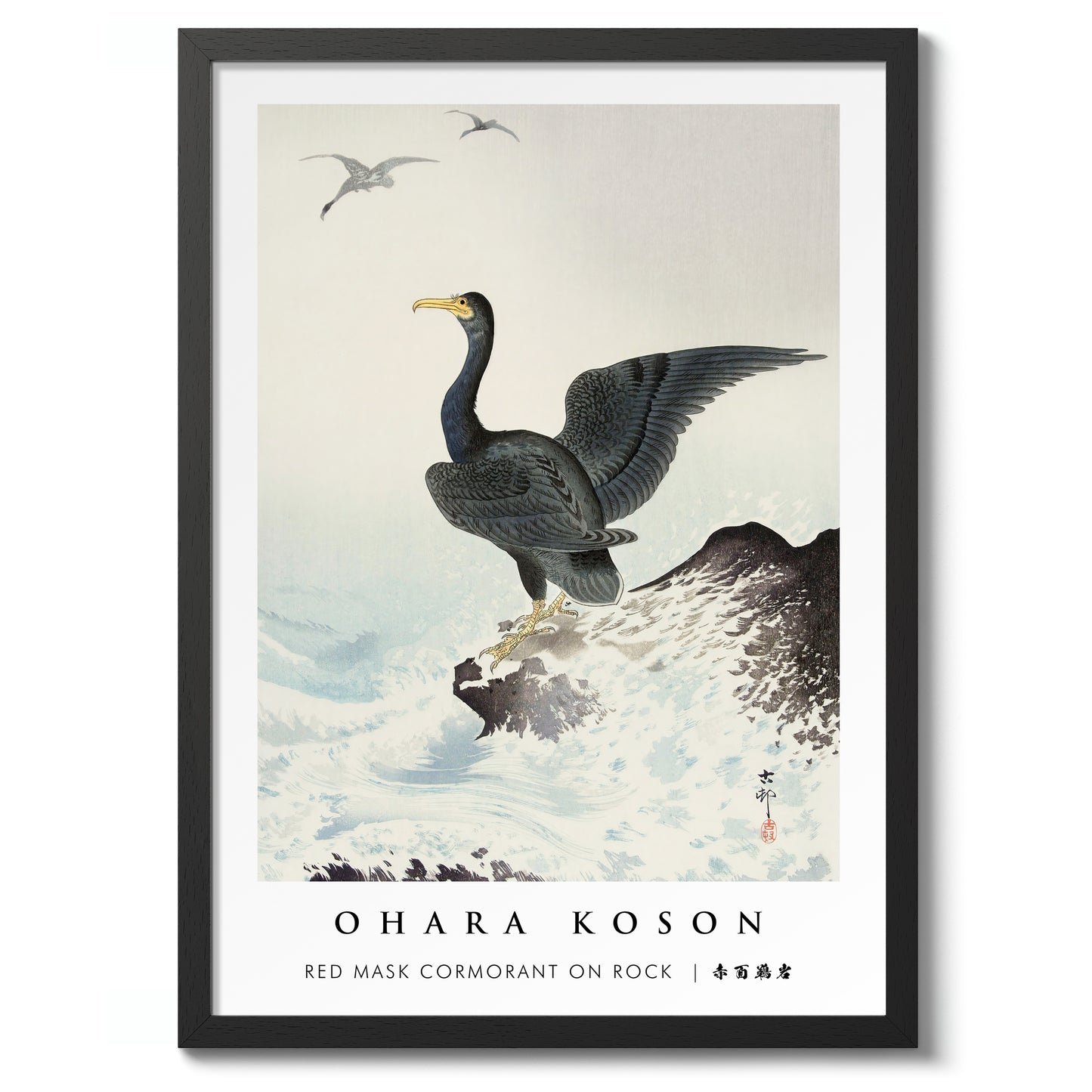 Red Mask Cormorant on Rock