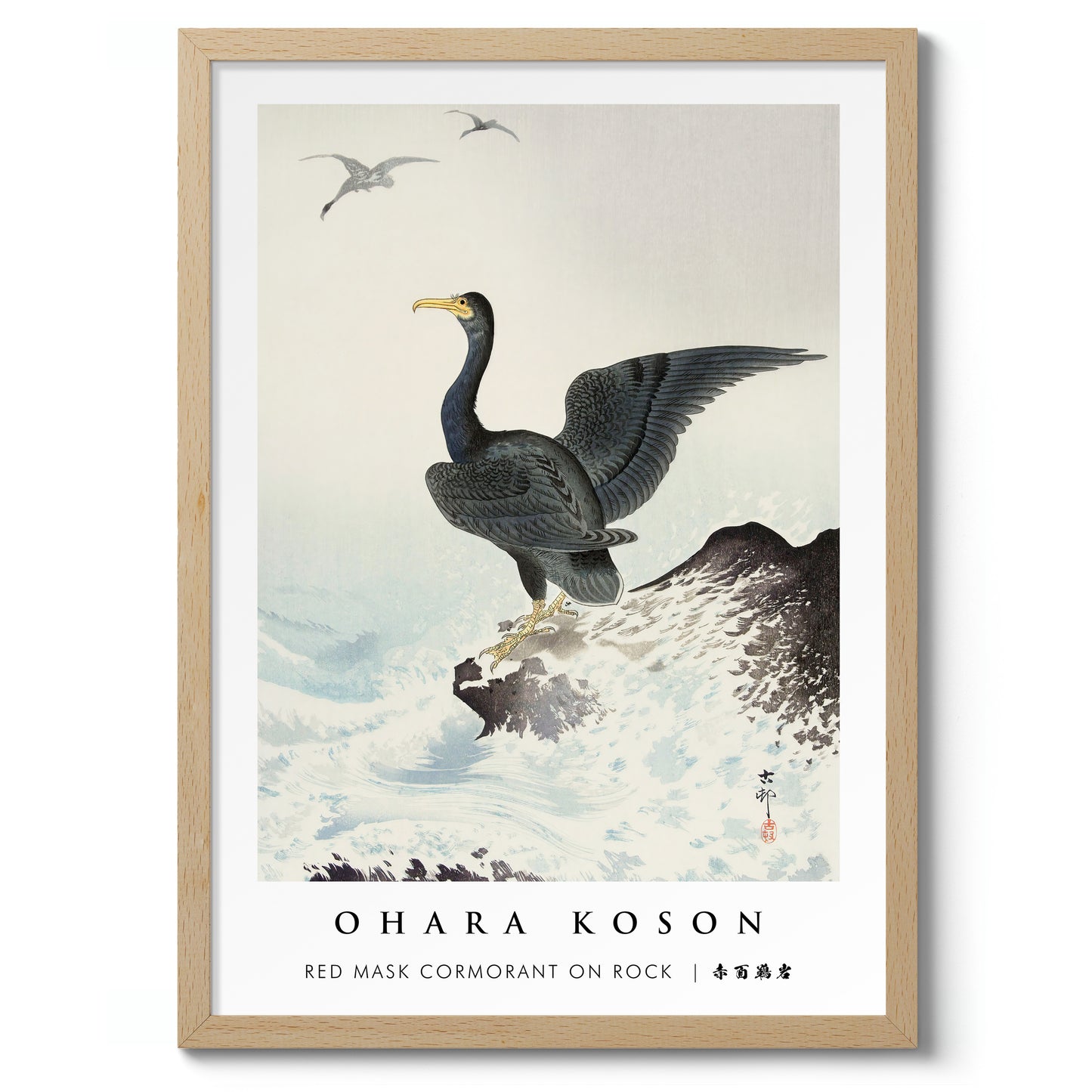 Red Mask Cormorant on Rock