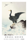 Red Mask Cormorant on Rock print