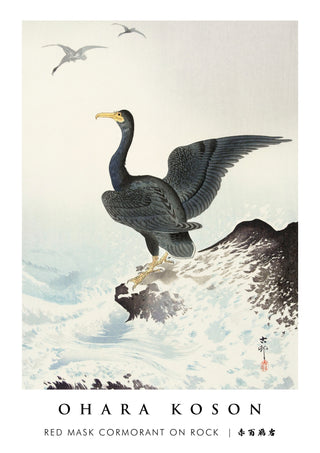 Red Mask Cormorant on Rock print
