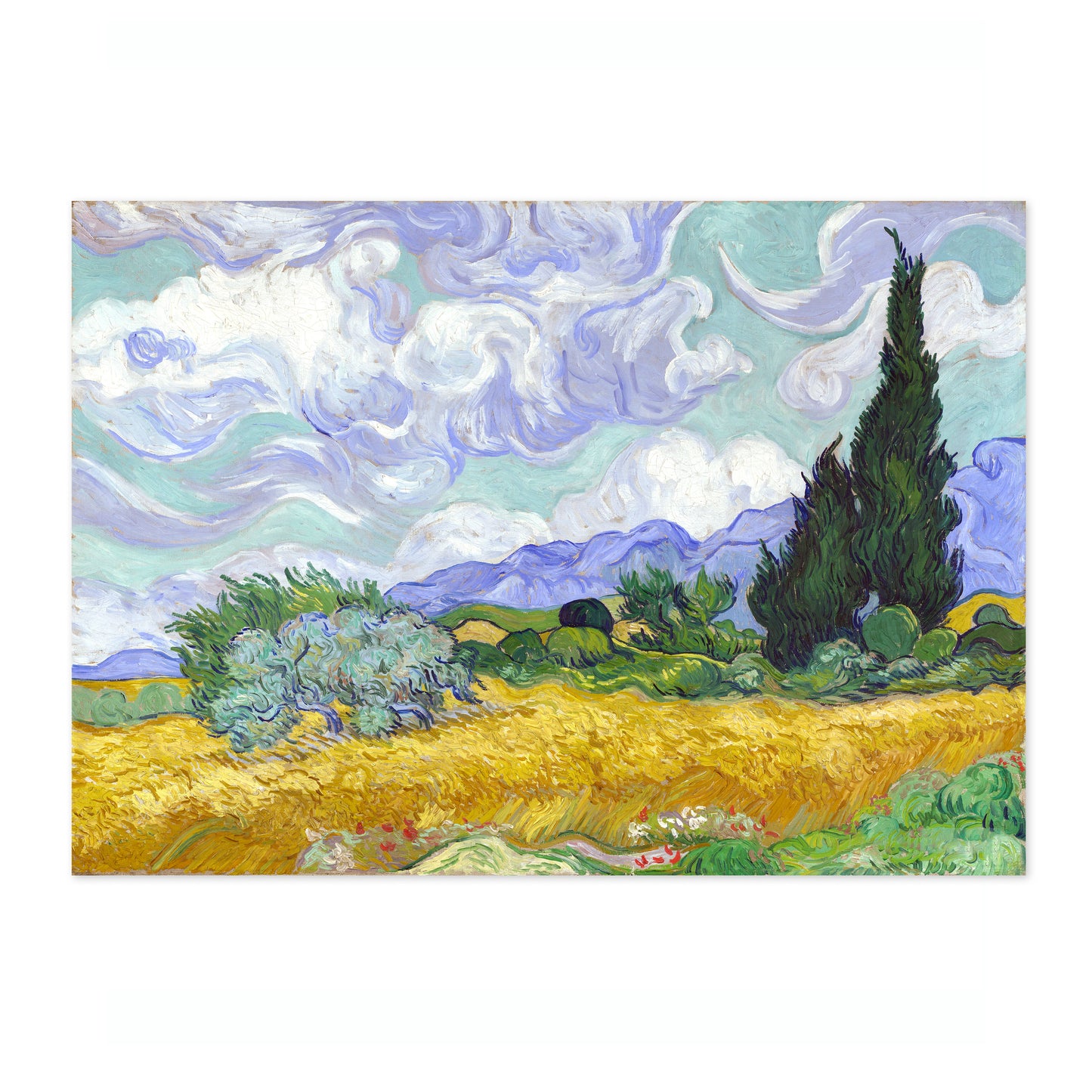 Wheatfield with Cypresses