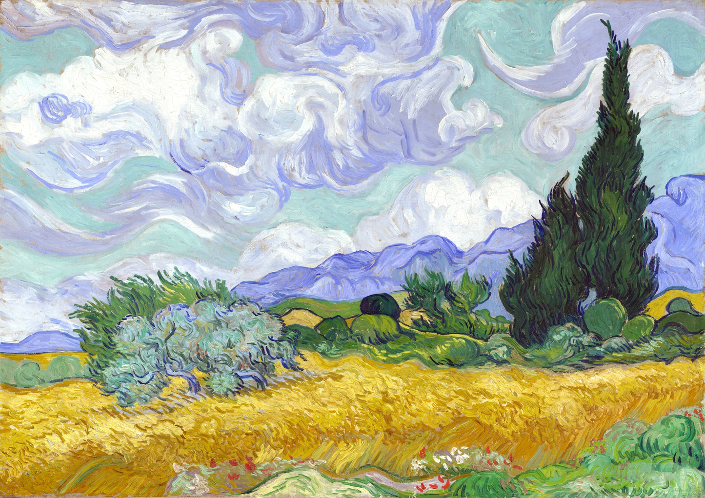 Wheatfield with Cypresses