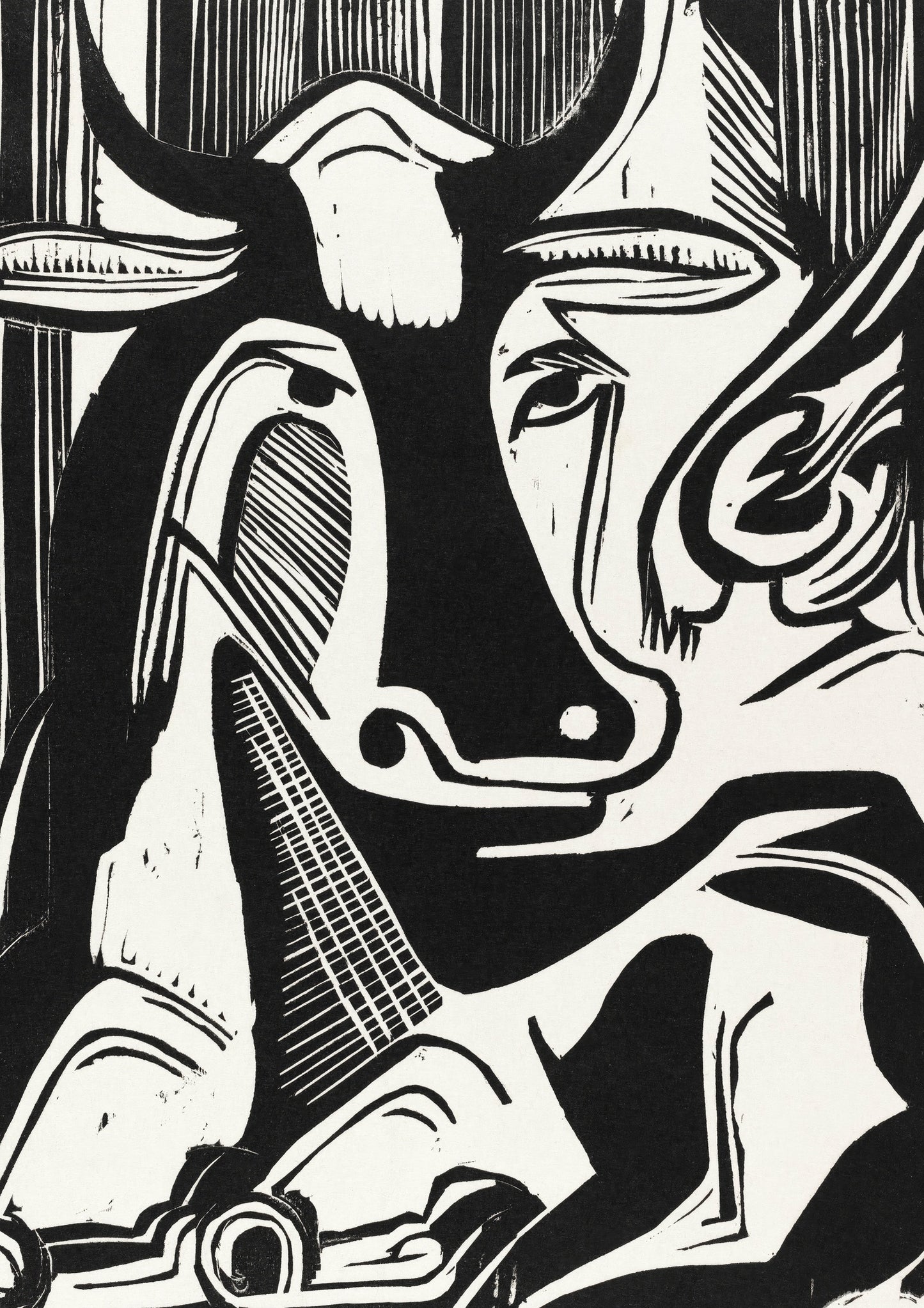 Large Cow Lying Down