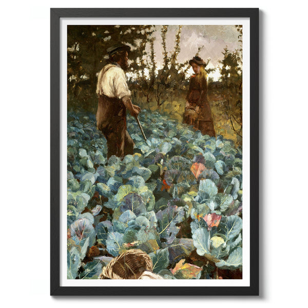 A Cabbage Garden