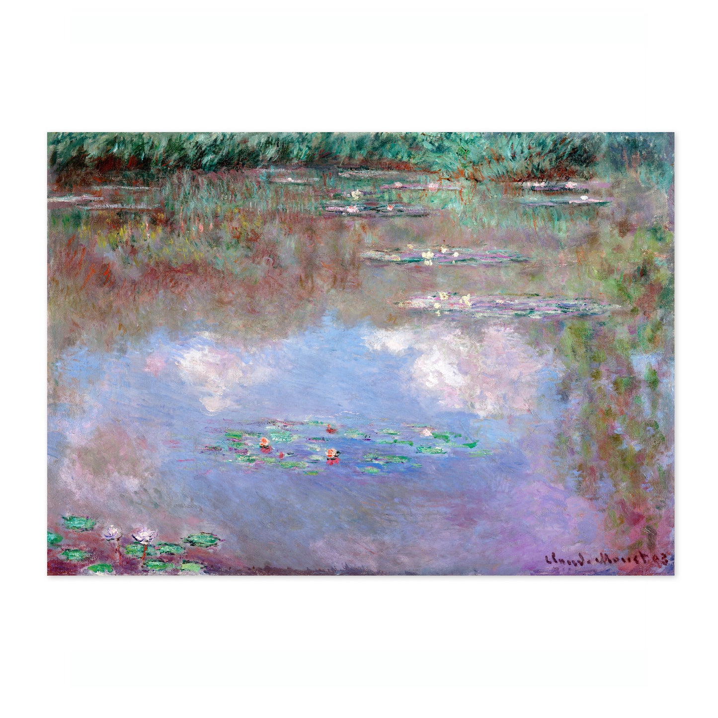 Nuages dans l'étang aux lys