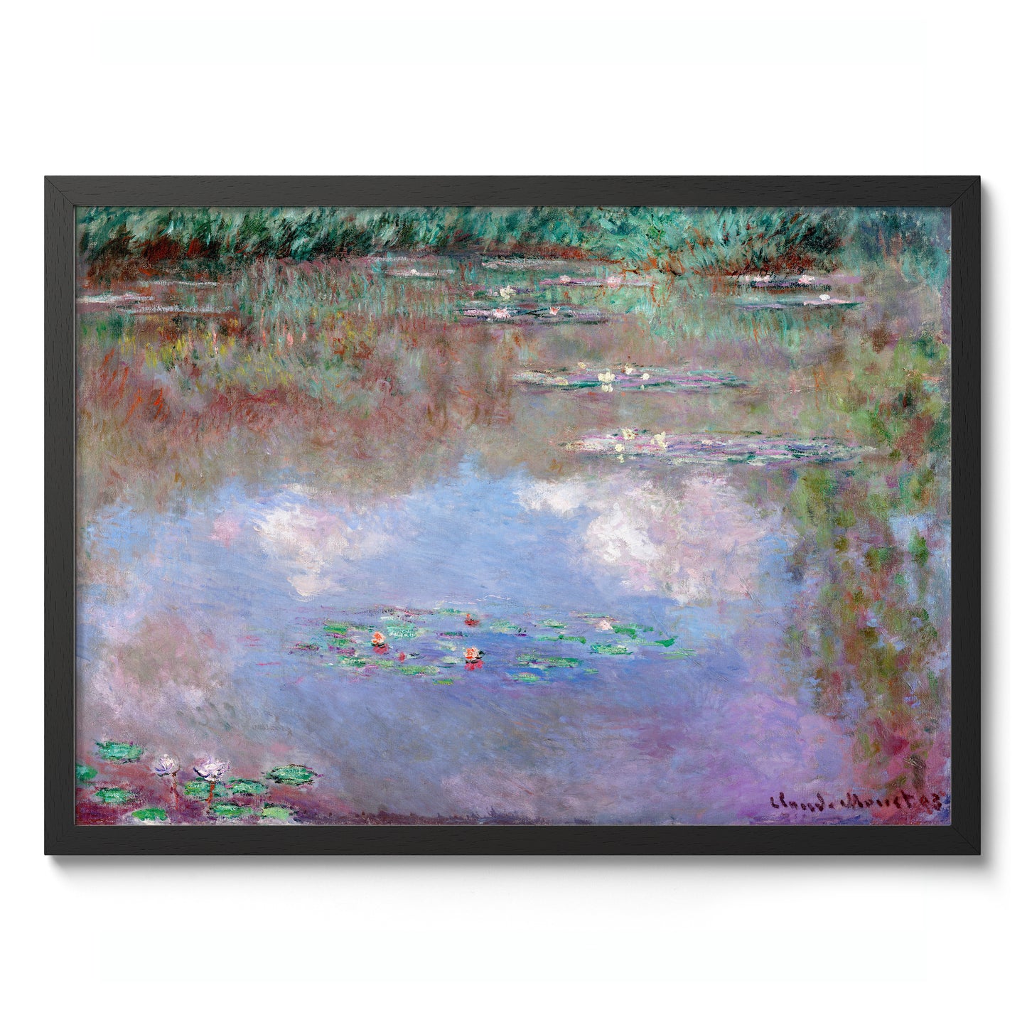 Nuages dans l'étang aux lys