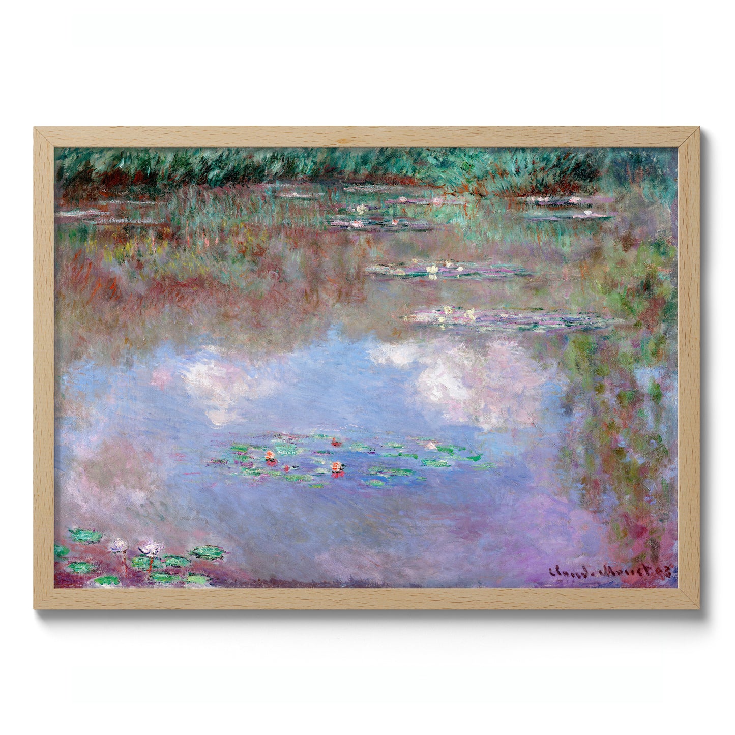 Nuages dans l'étang aux lys