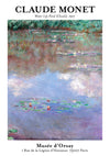 Water Lily Pond print