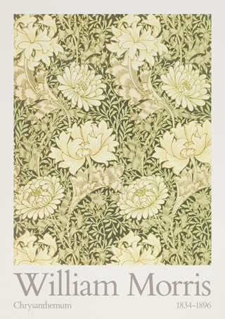 Chrysantheme print