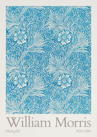 Ringelblume print