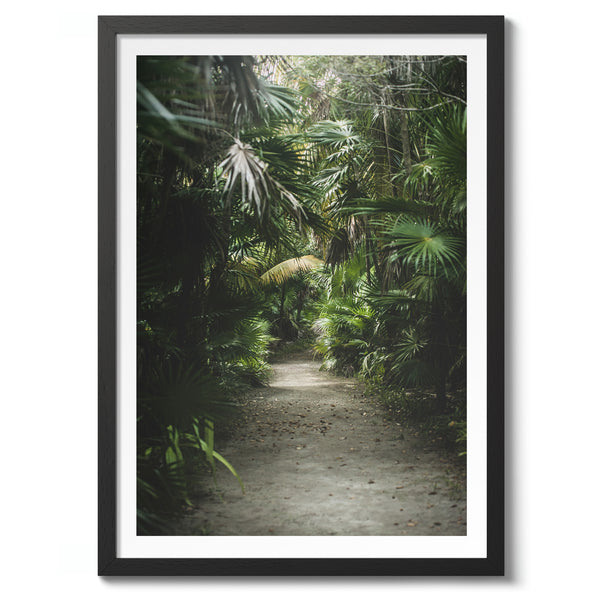 Jungle Path