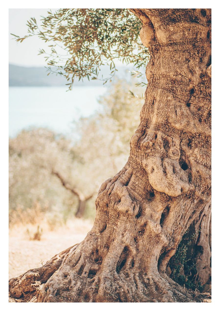Olivier - Print Only frame