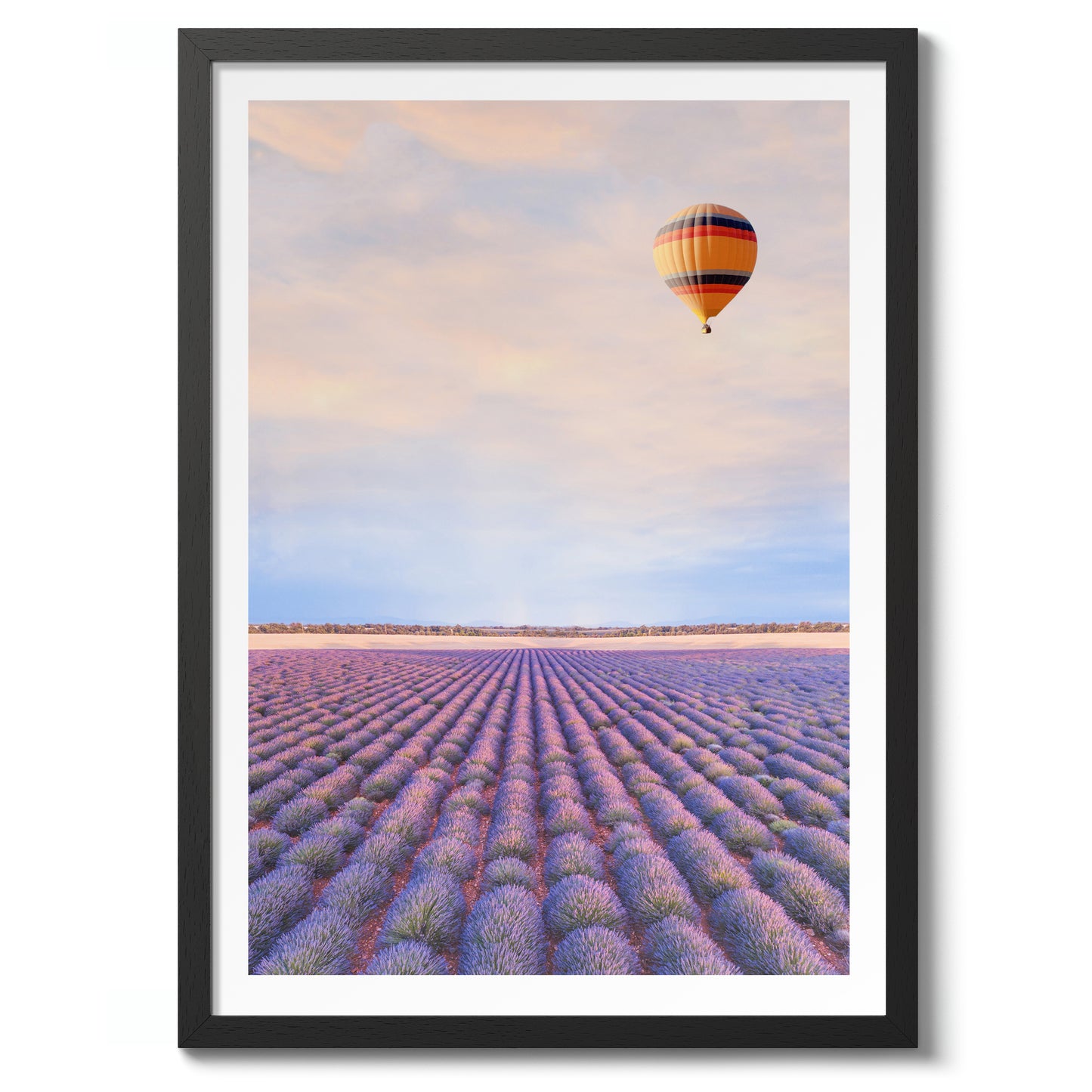 Lavendelfelder in der Provence, Frankreich