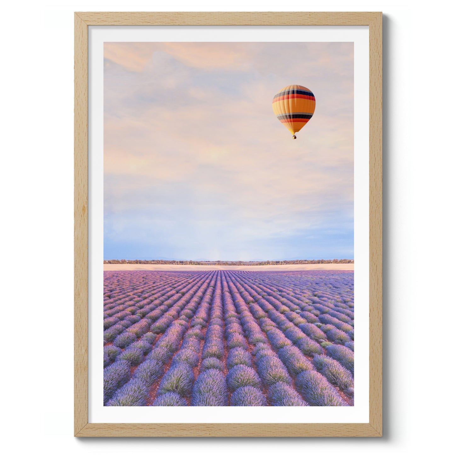 Lavendelfelder in der Provence, Frankreich