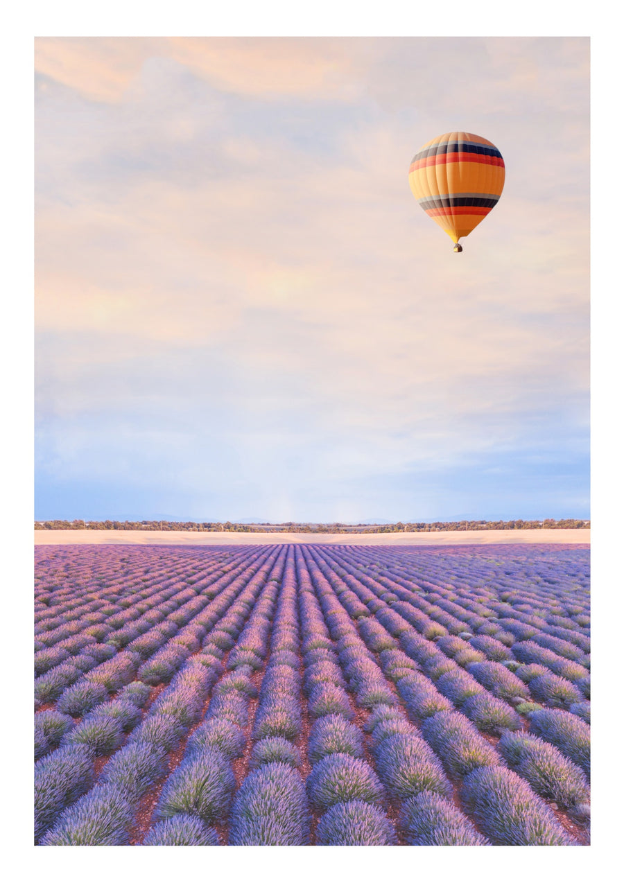 Lavendelfält i Provence, Frankrike - Print Only frame