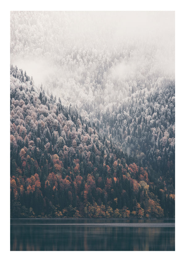 Arbres et lac