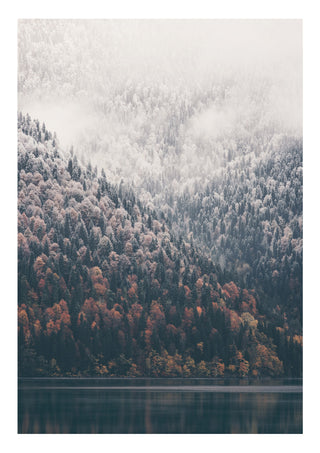 Träd och sjö print