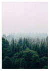 Misty Trees print