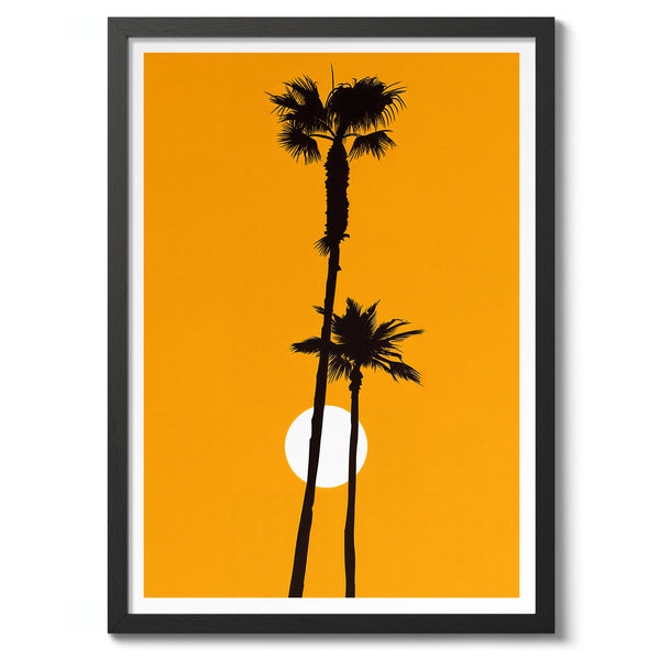 Palm Tree Sunset