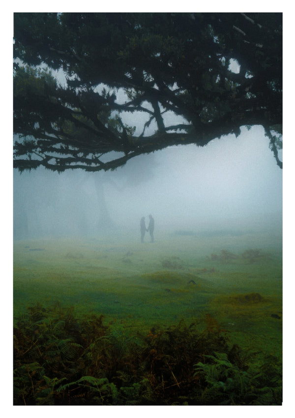 In the Fog