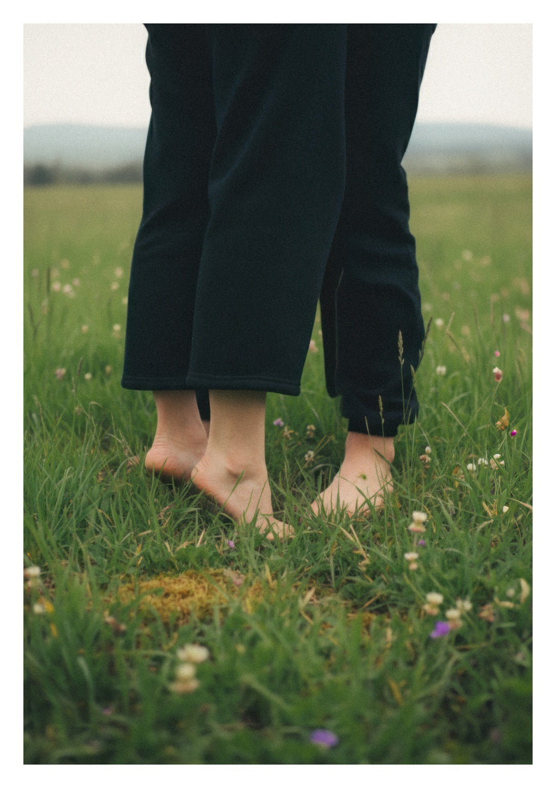 Meet Me in the Fields