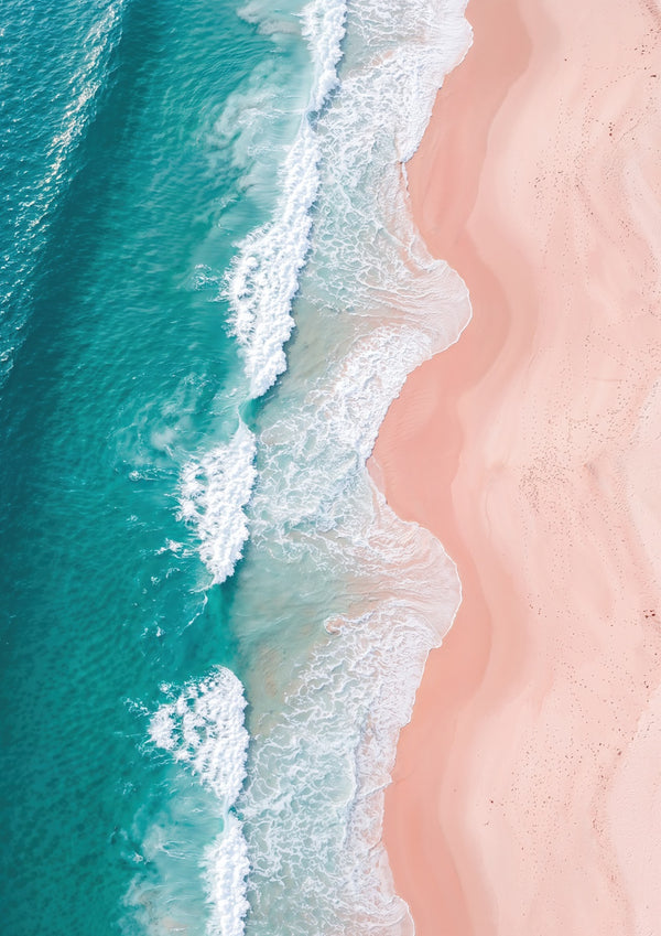 Rose & Tide