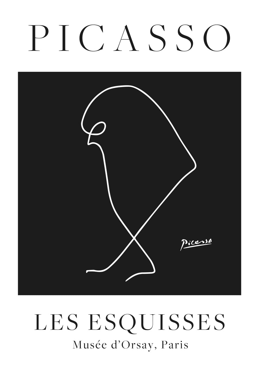 Zwarte Vogel - Print Only frame