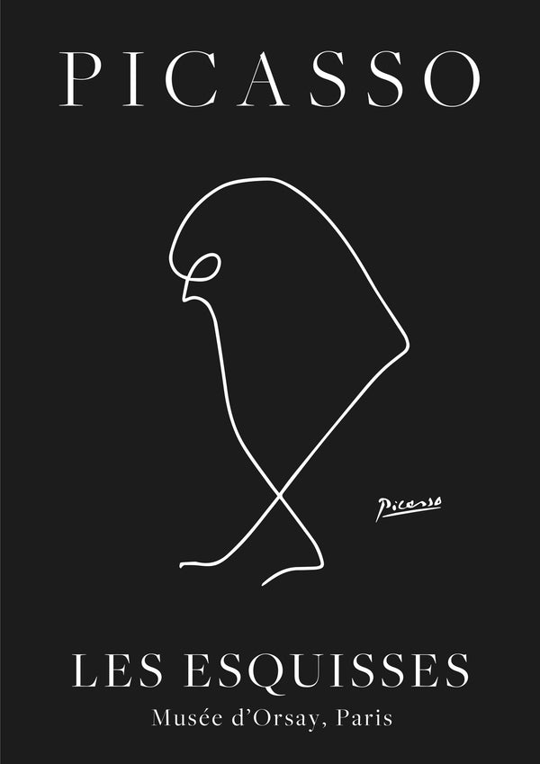 Oiseau Noir