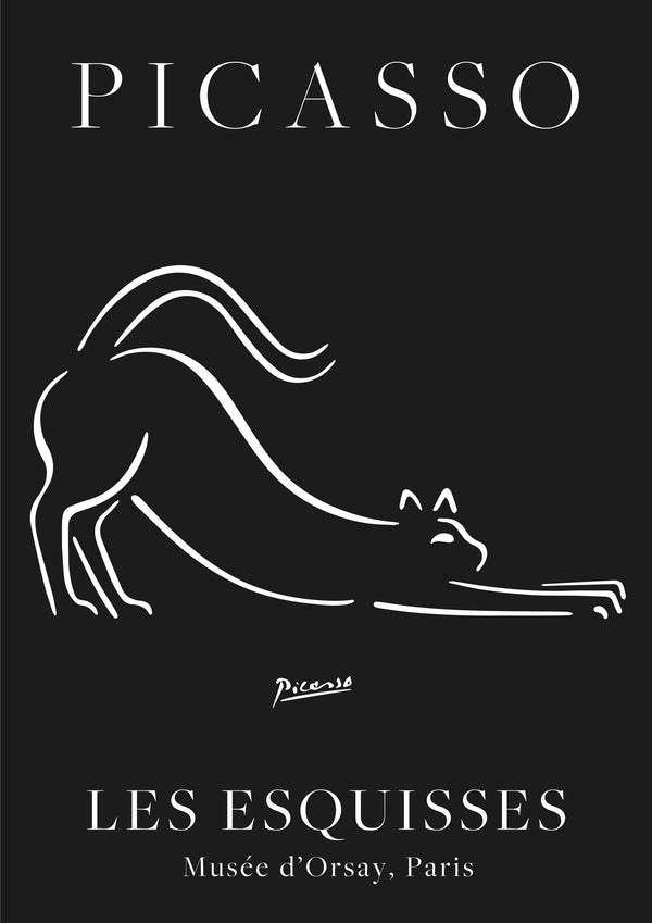 Chat Noir