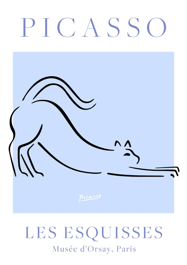 Chat bleu et blanc