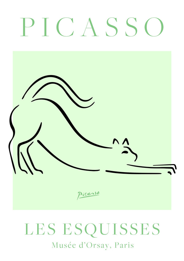 Chat Vert et Blanc