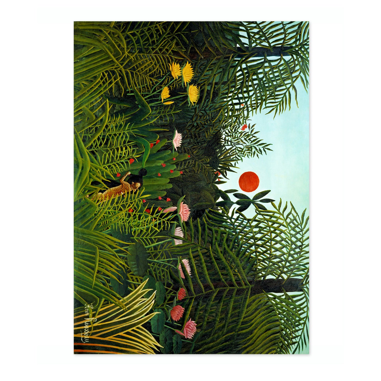 Jungfrulig skog med solnedgång