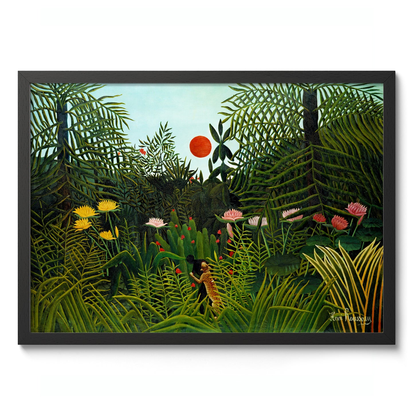 Jungfrulig skog med solnedgång