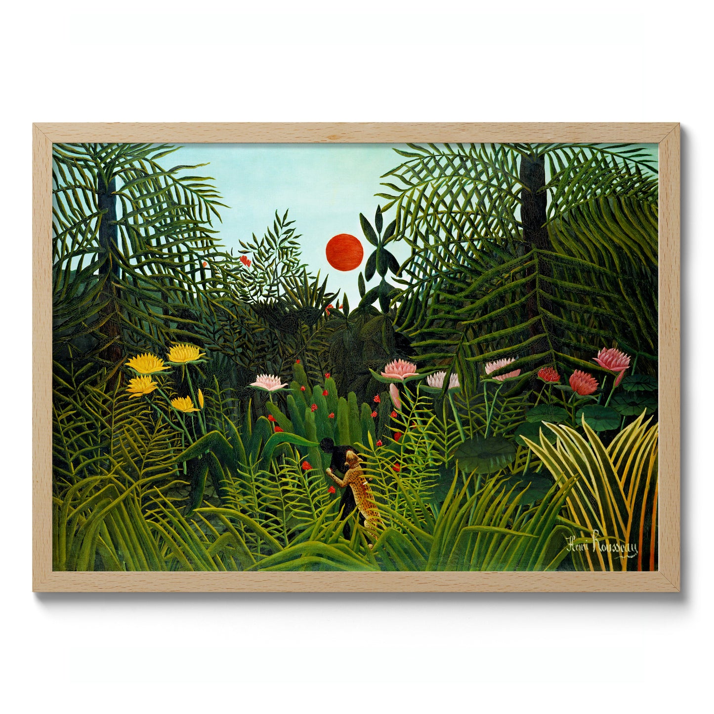 Jungfrulig skog med solnedgång