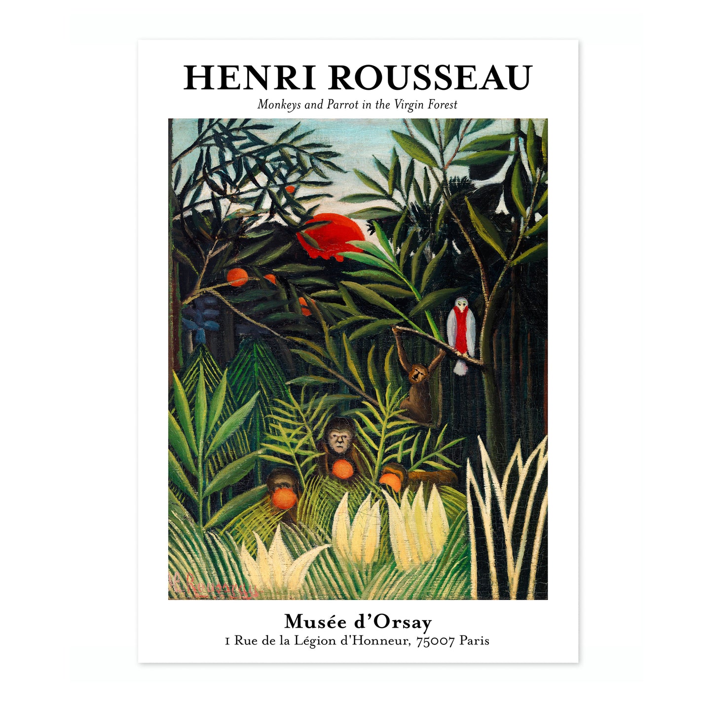 Apdjur och papegoja i den orörda skogen