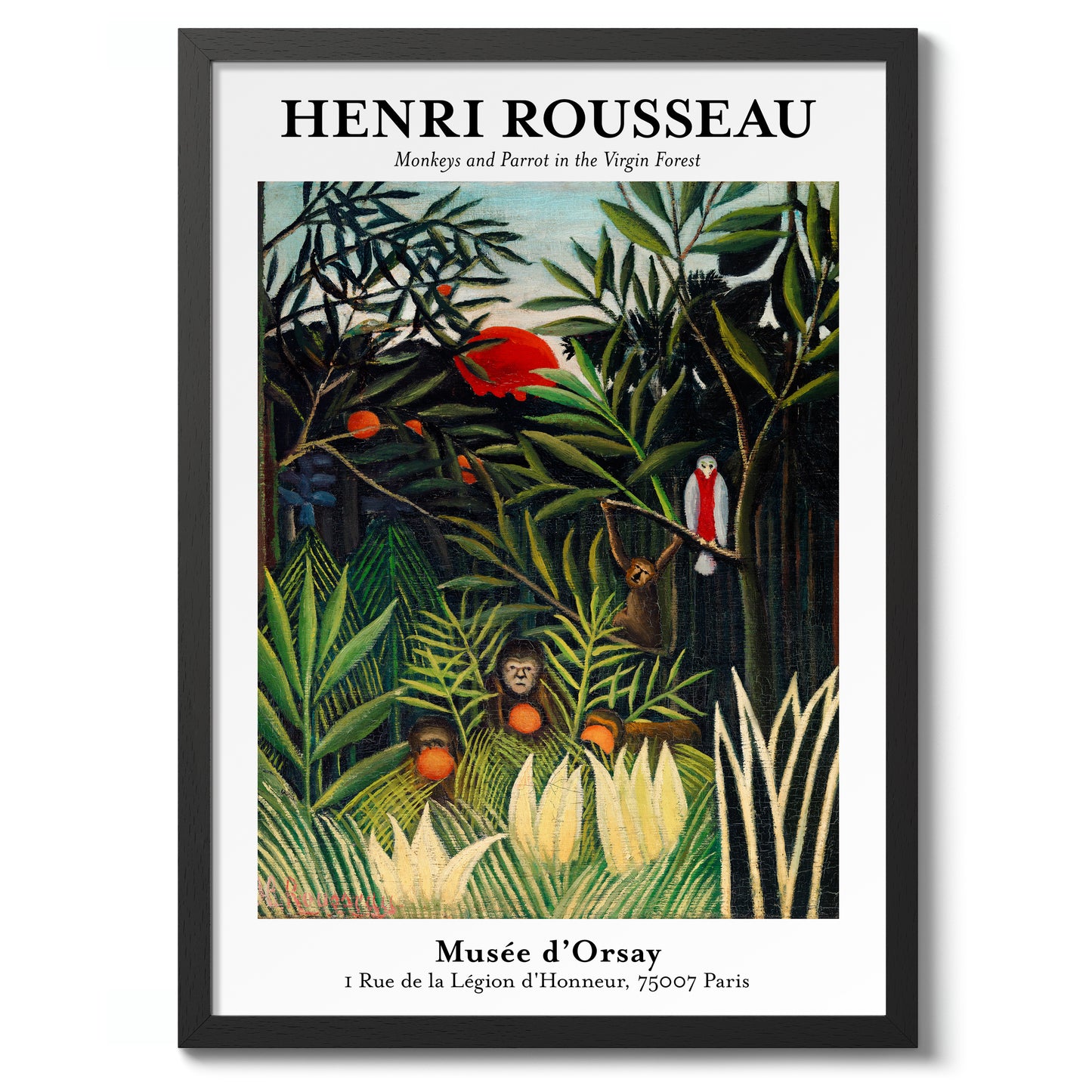 Apdjur och papegoja i den orörda skogen