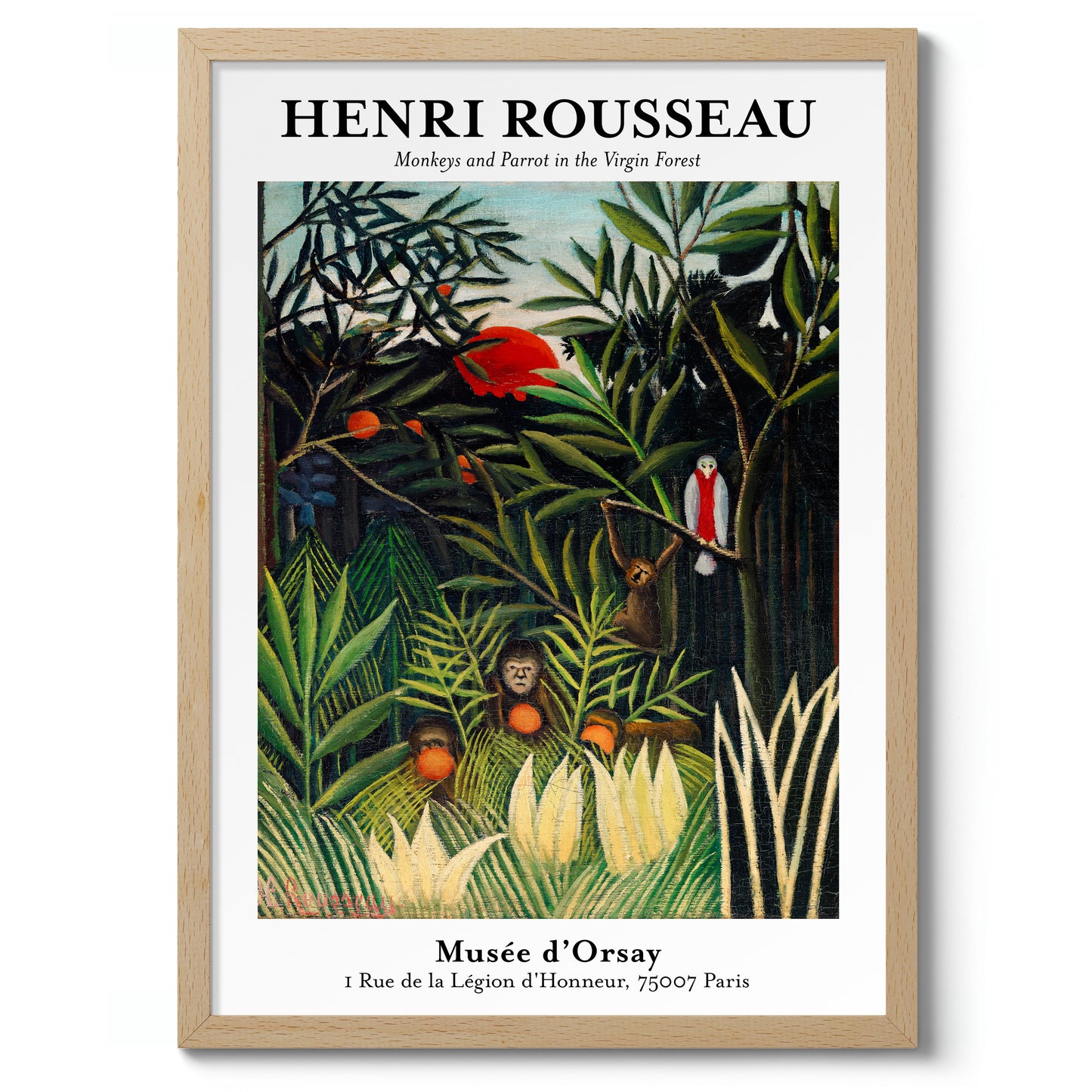 Apdjur och papegoja i den orörda skogen