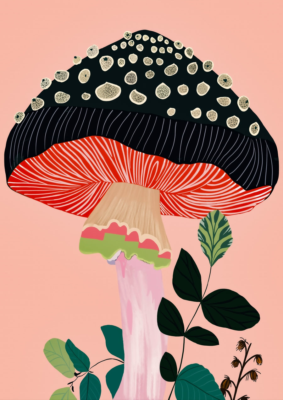 Garden Mushroom - Print Only frame