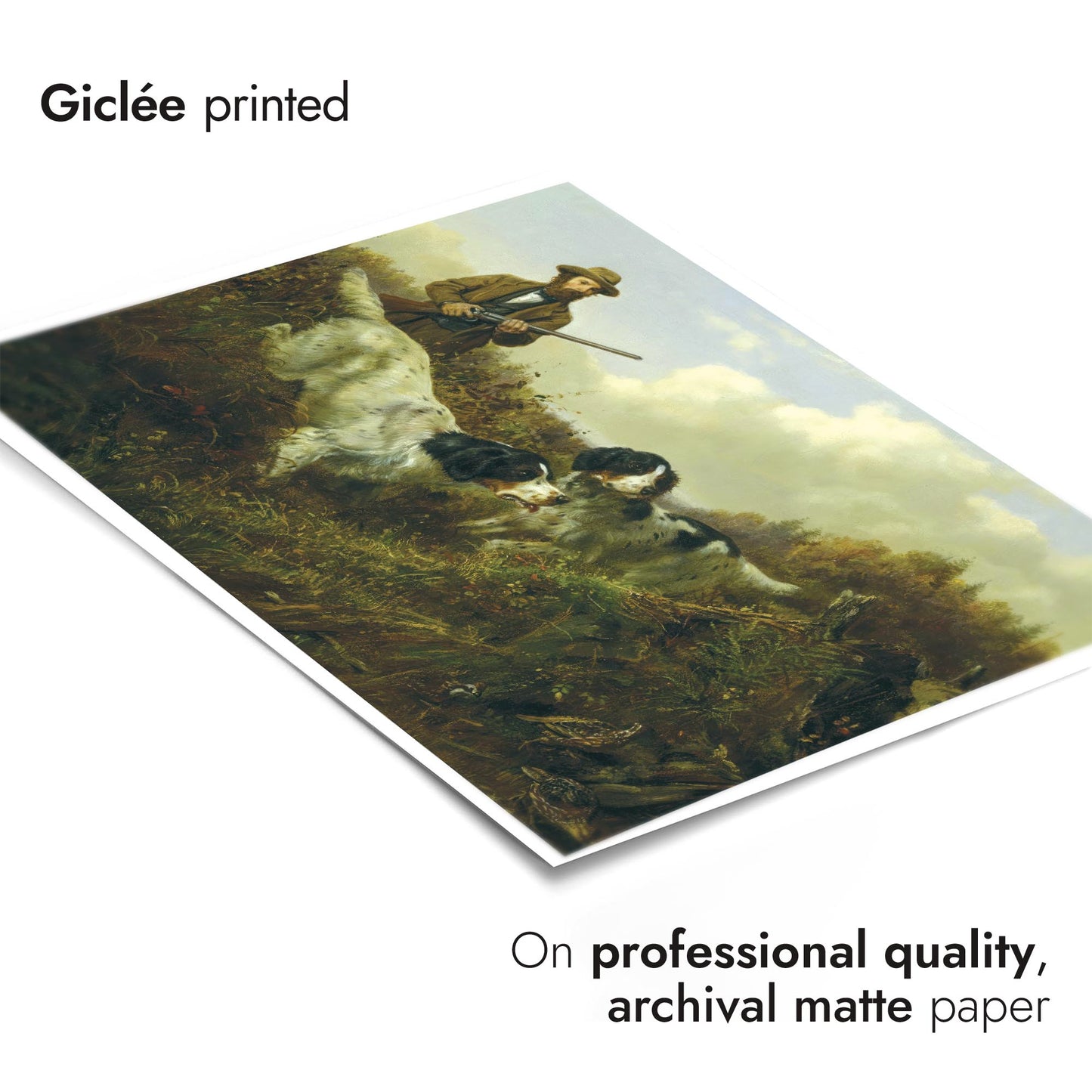 Flushing Roodwild, Long Lake - Hamilton County, New York