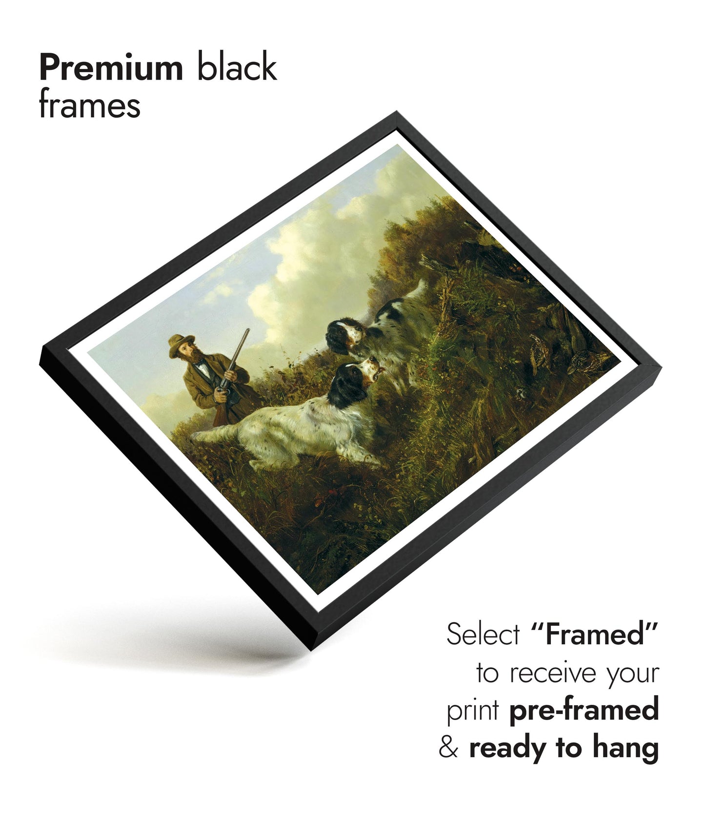 Flushing Roodwild, Long Lake - Hamilton County, New York