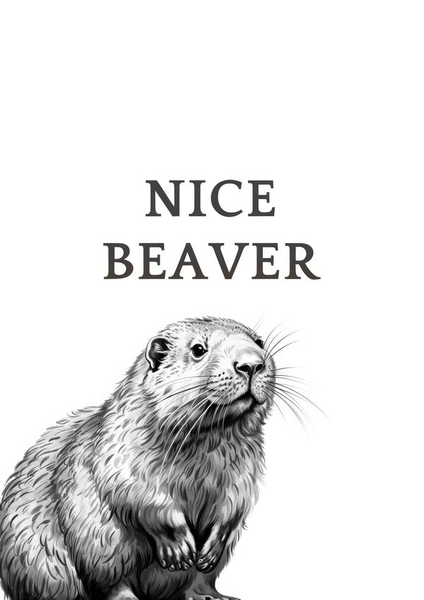 Snygg bäver