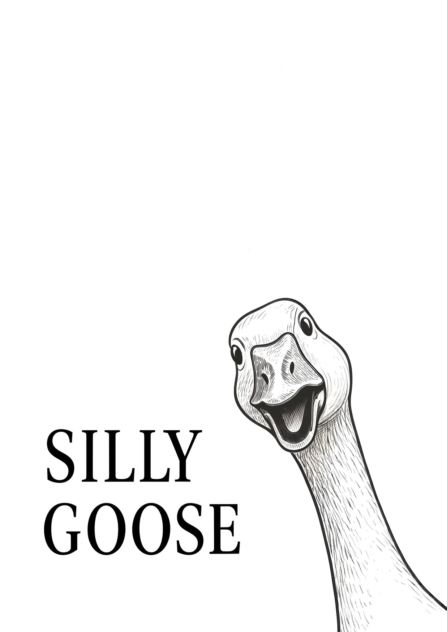 Silly Goose
