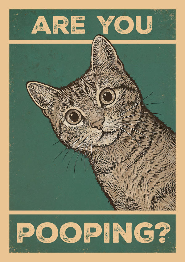 Are You Pooping? Cat