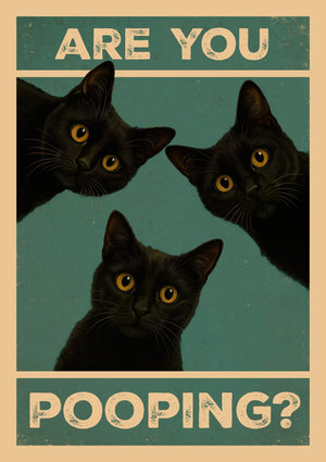 Are You Pooping? Cats